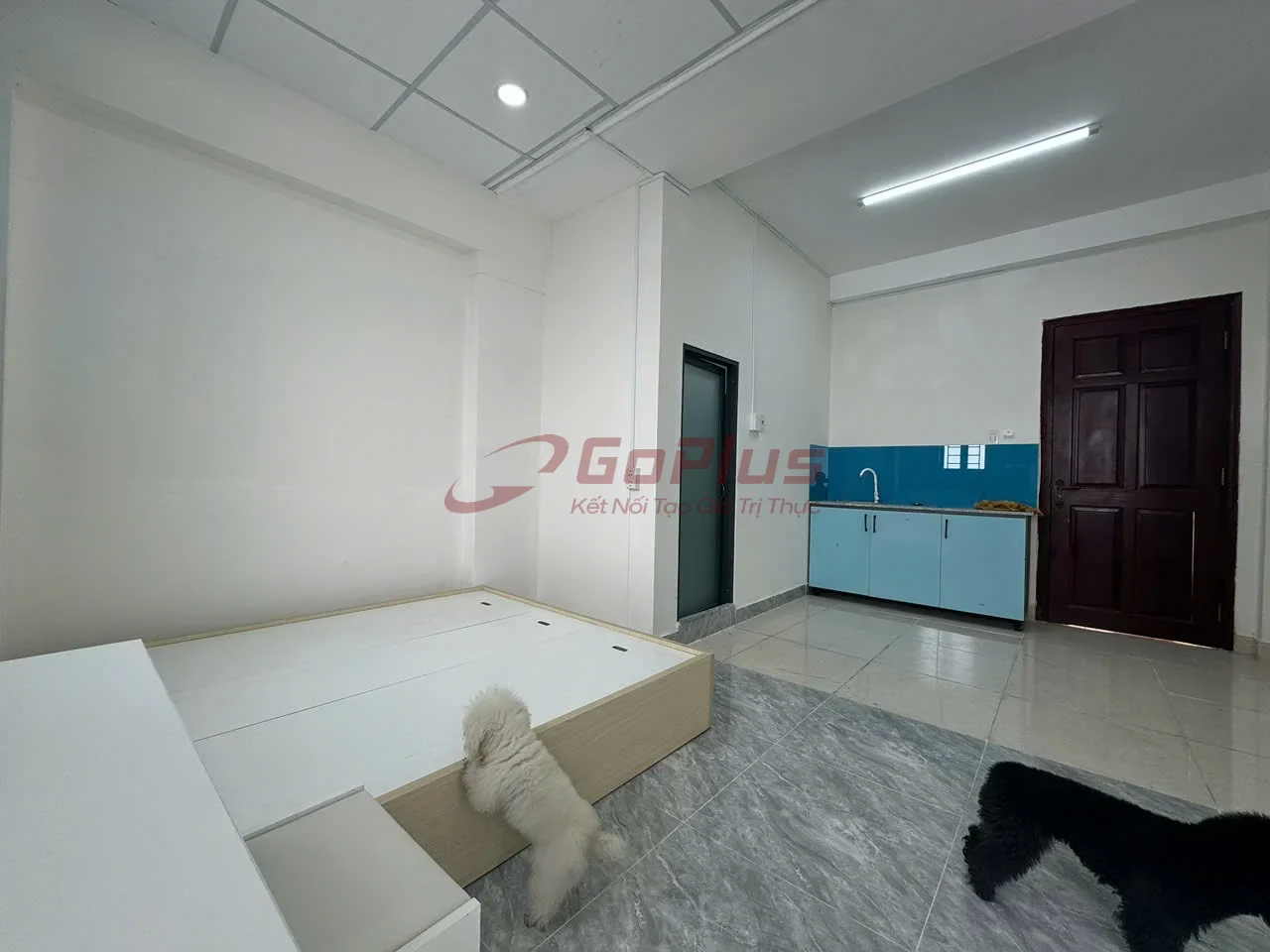 Cho thuê Studio 20m² Đường Lê Văn Thọ, Phường Thông Tây Hội, Gò Vấ, Phường Thông Tây Hội · 4,5 triệu/tháng — ảnh 1