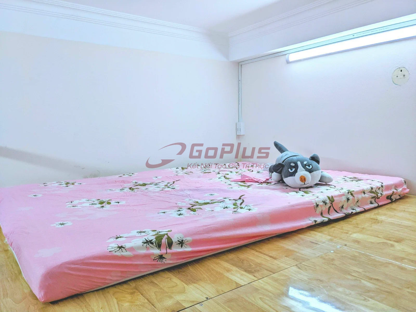 Cho thuê Duplex 20m² Phan Đăng Lưu, Phường Đức Nhuận · 5,6 triệu/tháng — ảnh 2