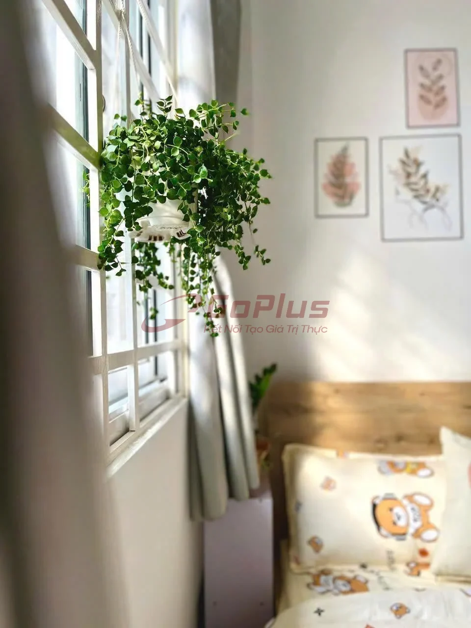 Cho thuê Studio 20m² Nguyễn Thái Sơn, Phường Hạnh Thông · 6,2 triệu/tháng — ảnh 3