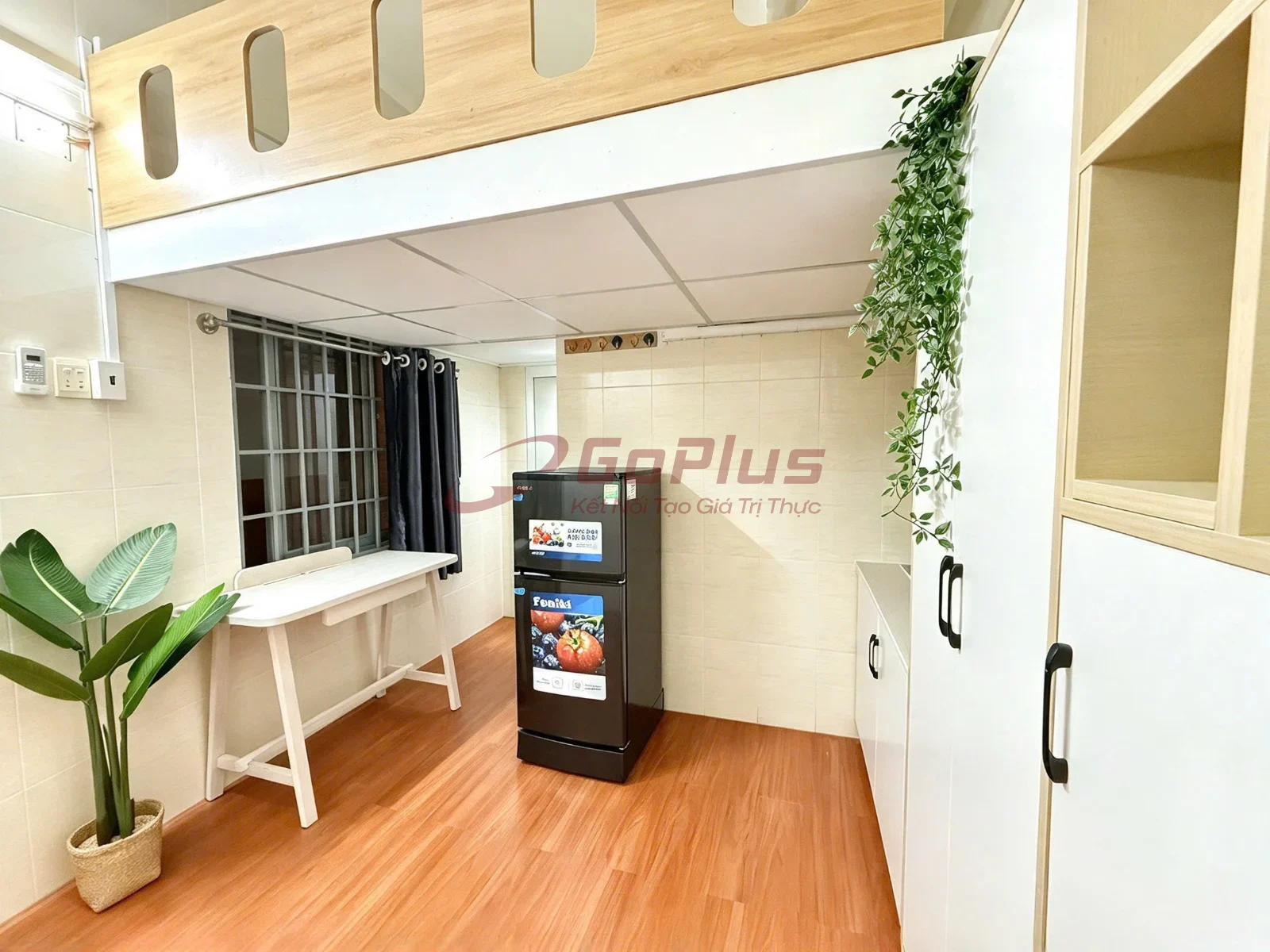 Cho thuê Duplex 20m² Hồ Xuân Hương, Phường Tân Sơn Hòa · 5,5 triệu/tháng — ảnh 4