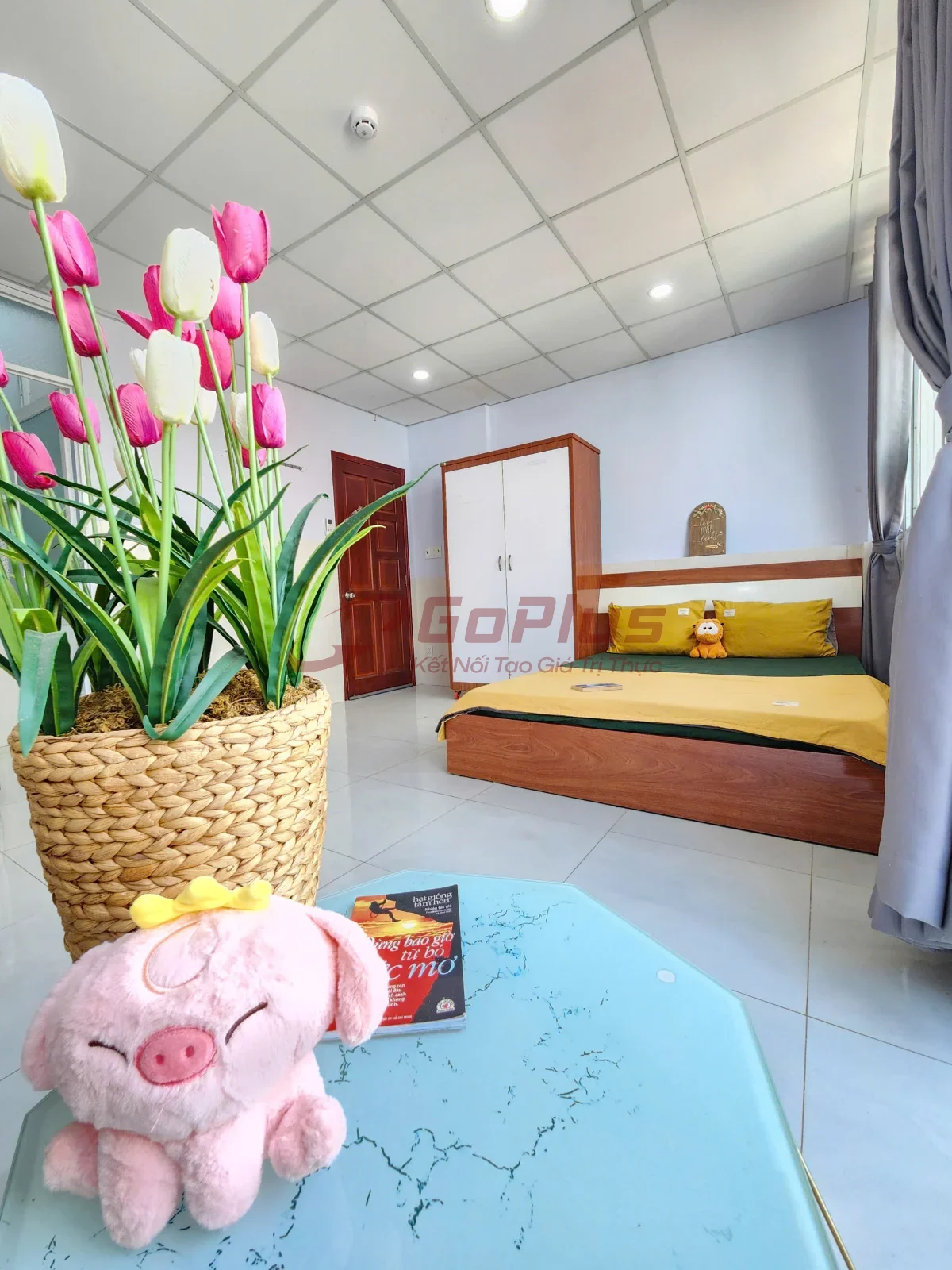 Studio 20m² for rent in Bạch Đằng, Phường Tân Sơn Hòa · 7.2 million VND/month — photo 2